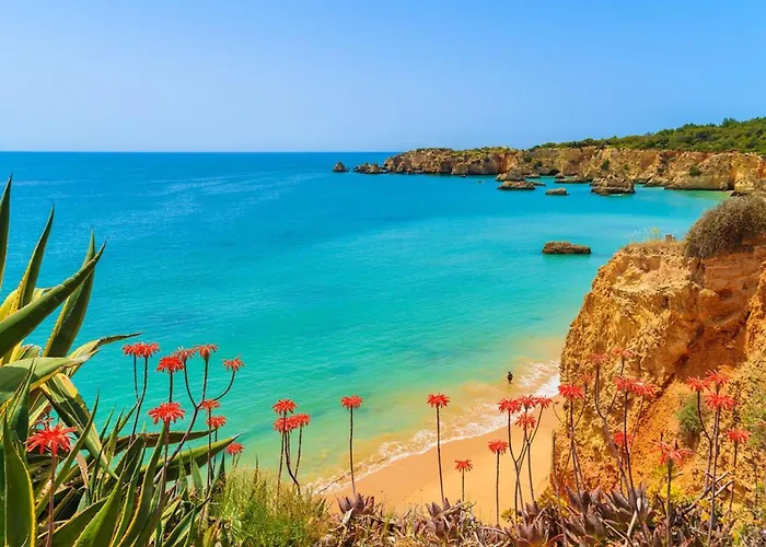 Amazing Carvoeiro 4 Bedrooms Jasmin Walking Distance *
