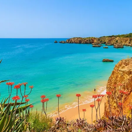Amazing Carvoeiro 4 Bedrooms Jasmin Walking Distance To Beautiful *